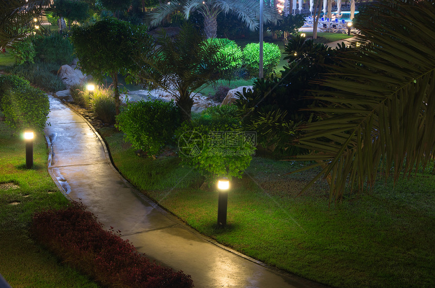 夜间花园街道公园土地小路来源灌木照片灯柱植物图片