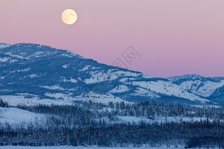 冬天的心情育空加拿大冬季风景和满月升起背景