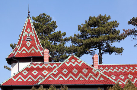 城堡的花彩瓷砖屋顶结构细节背景图片