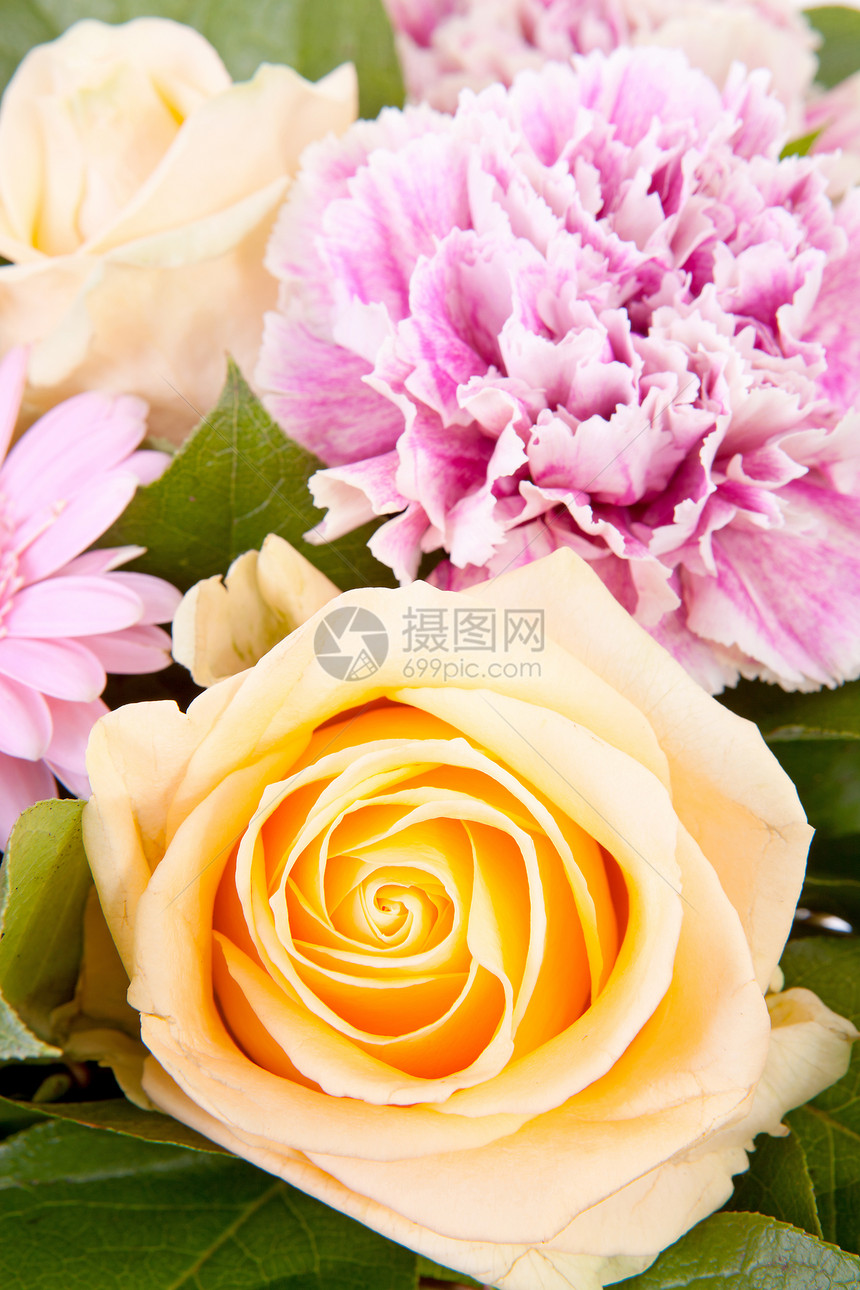 花束美丽鲜花玫瑰花瓶粉色树叶格柏橙子绿色图片