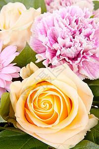 花束美丽鲜花玫瑰花瓶粉色树叶格柏橙子绿色背景图片