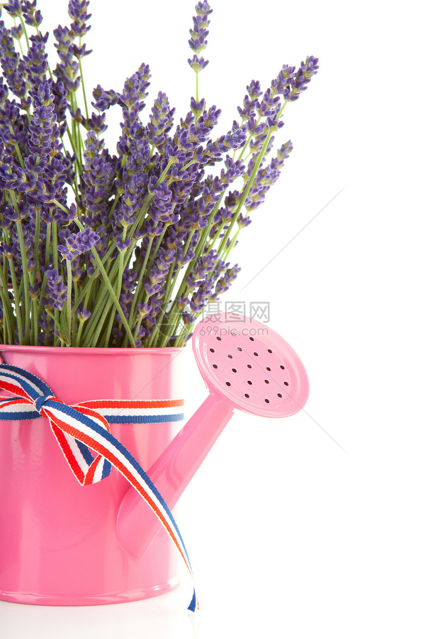 粉红色水罐 用采出的熏衣草草本香气紫丁香花束玻璃植物香味紫色粉色花朵图片