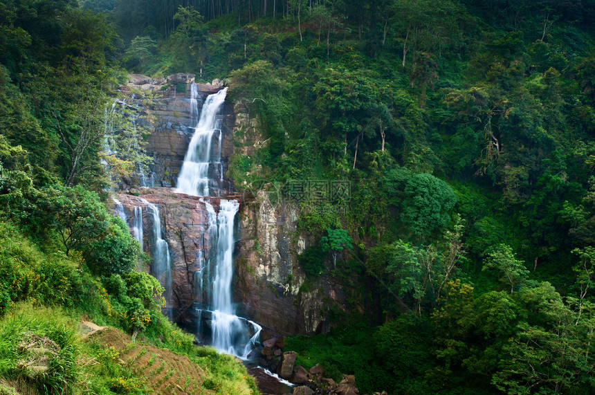 绿色热带森林中的大型瀑布流动公园爬坡植物溪流丛林岩石美丽荒野石头图片