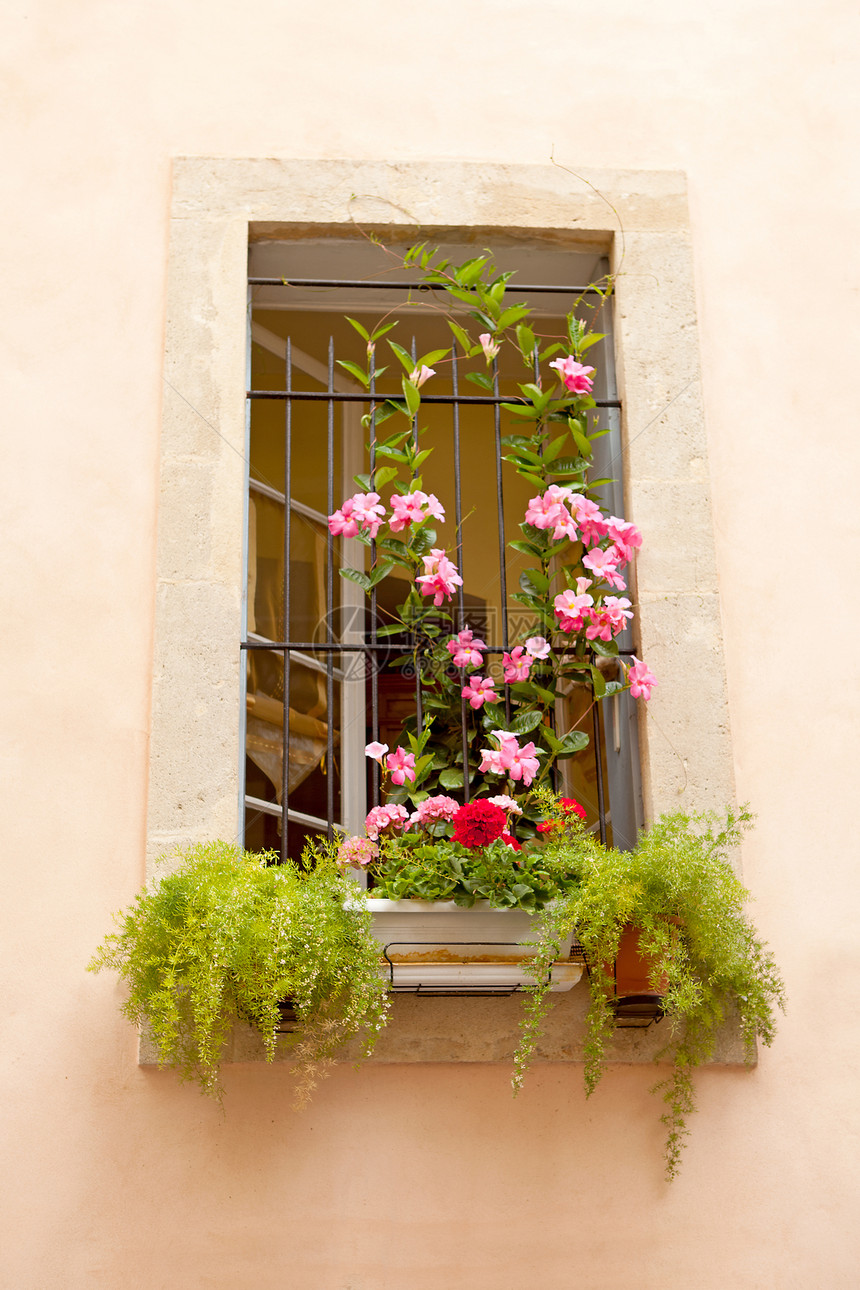 带有鲜花的典型法国窗口图片