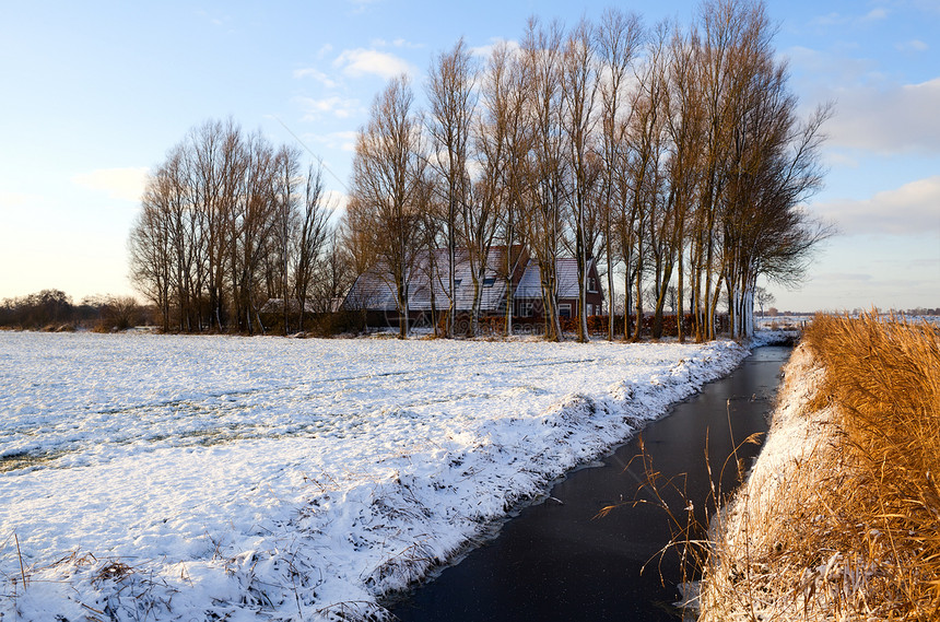 冬季荷兰农舍牧场场地农家晴天乡村建筑农田运河季节季节性图片