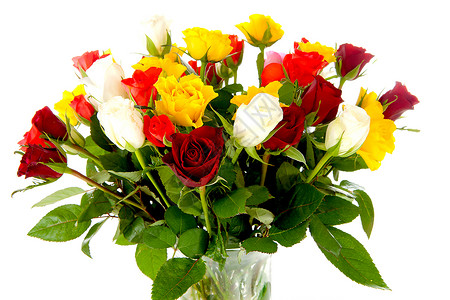 彩色玫瑰花团荆棘花束花朵树叶花瓶工作室花瓣植物背景图片