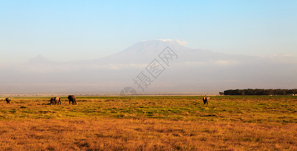 非洲福吉·基利马扎罗山背景