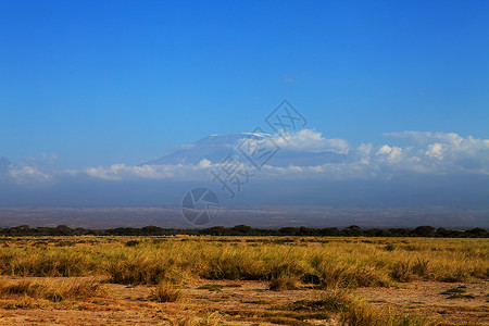非洲乞力马扎罗山草原公园火山大草原冰川天空顶峰高清图片