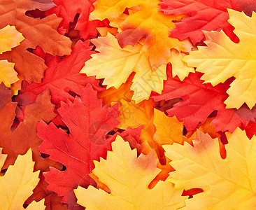 丝绸多彩秋叶背景背景图片