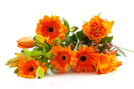橙色花束花橙子格柏树叶玫瑰背景图片