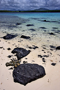 毛里求斯的可可业海滩灰色石头棕色母马蓝色蓝光高清图片