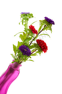 花瓶中的花朵花束季节性植物群工作室背景图片
