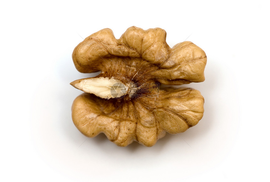 白色背景的胡桃种子坚果饮食季节性宏观食物植物小吃木头核桃图片