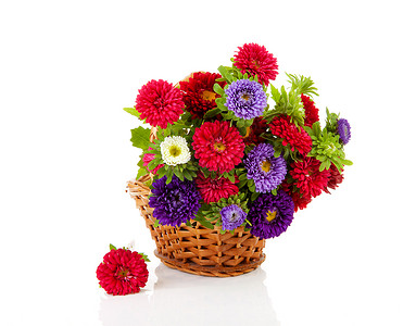 甘蔗篮中的花朵季节性篮子工作室花束植物群背景图片