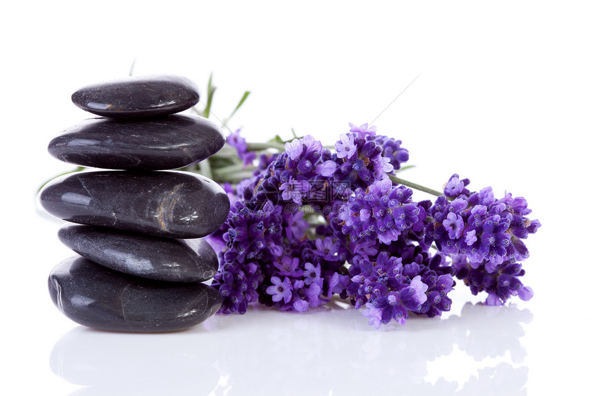 堆叠的黑色石子石头和熏衣草花草本香水放松紫丁香芳香植物宏观香气紫色疗法图片