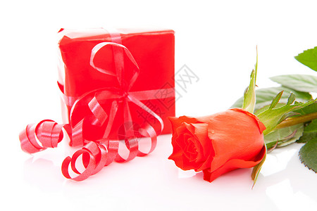 红现在和玫瑰树叶情人生日展示惊喜丝带礼物背景图片