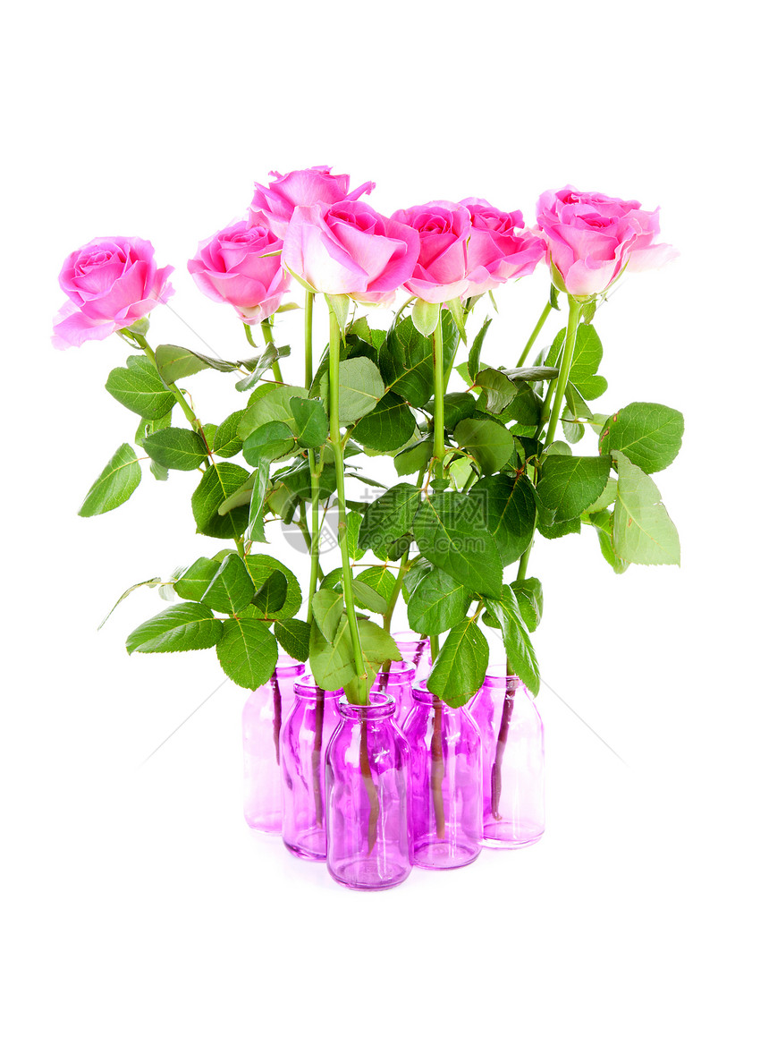 粉红色花朵中的一束玫瑰图片