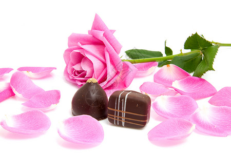 粉红玫瑰叶 配有巧克力夹心背景图片