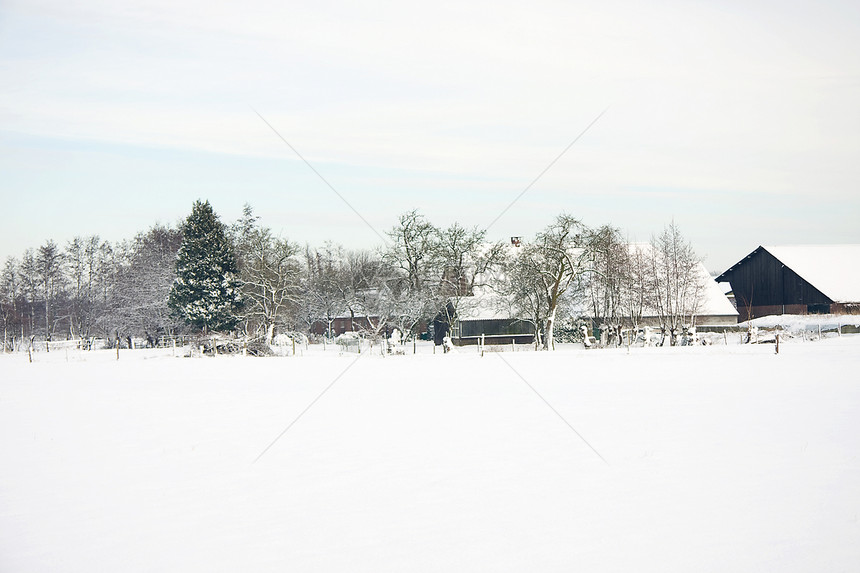 雪中荷兰农场天空草地房子白色树木图片