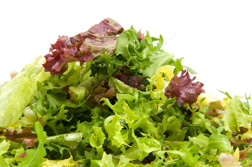 新鲜生菜绿色食物饮食维生素树叶蔬菜沙拉叶子营养图片