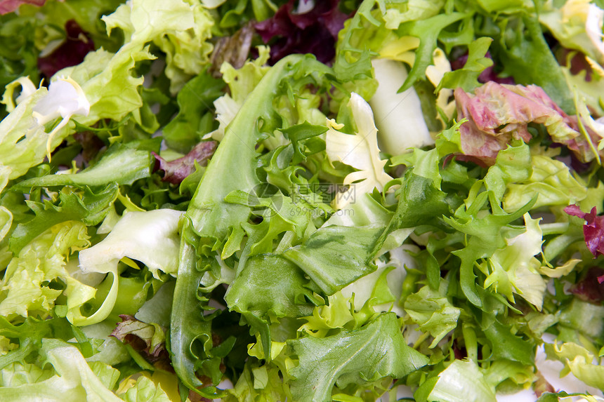 新鲜生菜叶子维生素食物沙拉营养绿色蔬菜饮食树叶图片