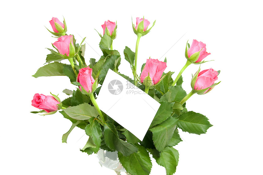 粉红玫瑰和空备忘录卡浪漫白色花瓶玫瑰花朵植物群粉色玻璃生日叶子图片