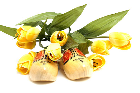 荷兰木鞋和丝绸郁金香黄色文化鞋类农业戏服花朵木头衣服木屐纪念品背景图片