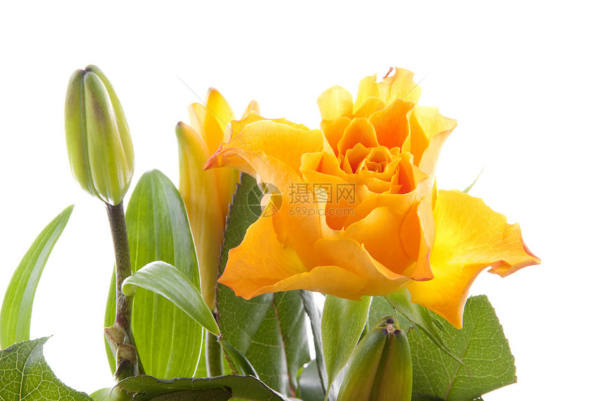 橙花 玫瑰和百合花图片