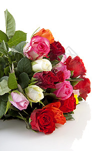 彩色玫瑰花团生日植物群花朵树叶浪漫荆棘白色玫瑰背景图片