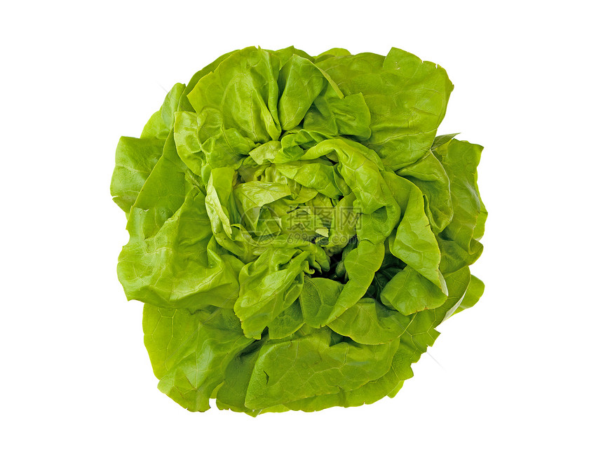 新鲜绿色沙拉营养蔬菜盘子树叶叶子饮食维生素食物图片