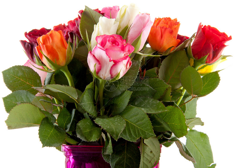 彩色玫瑰花团花束花瓶粉色荆棘树叶花朵图片