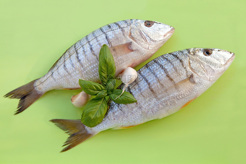 鲜鱼绿色草药美食海鲜死亡食物烹饪图片