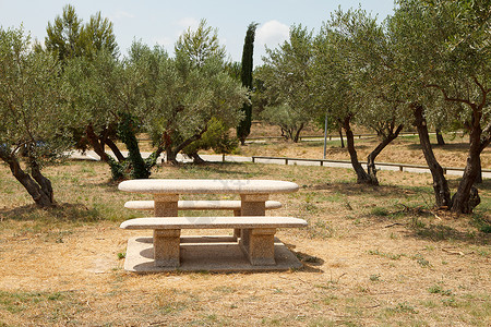 法国野餐桌橄榄公园高清图片