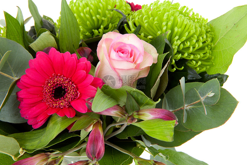 美丽的花束花树叶粉色格柏植物绿色玫瑰叶子花瓶图片