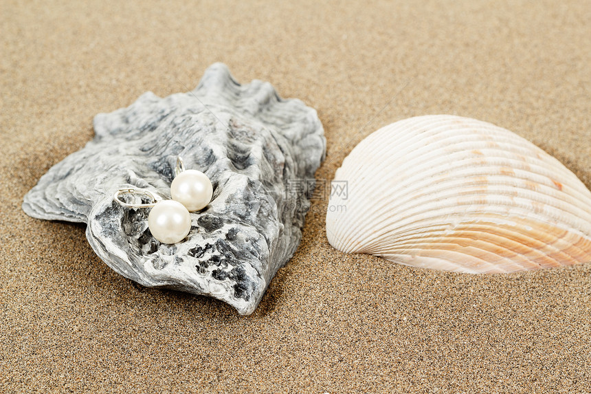 两只珍珠耳环和沙子上的贝壳首饰海洋展示动物宝石珠子礼物团体文化奢华图片
