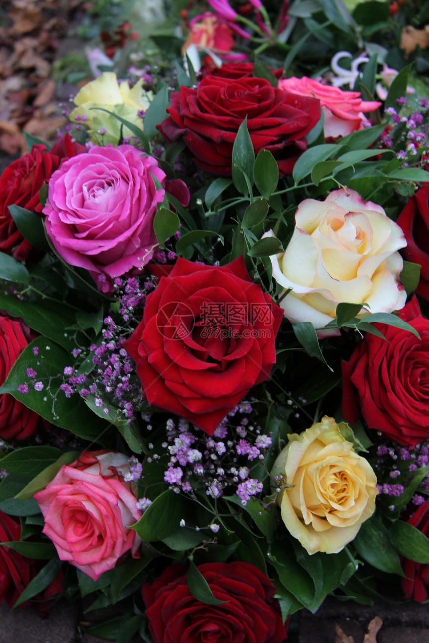 多彩玫瑰花紫色绿色粉色花束花瓣花店玫瑰黄色植物植物学图片