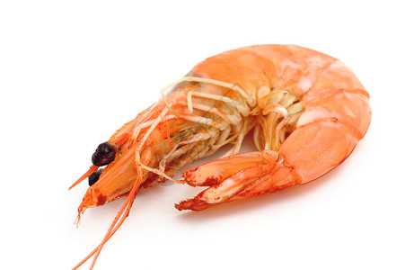 虾 虾食物小龙虾海鲜背景图片