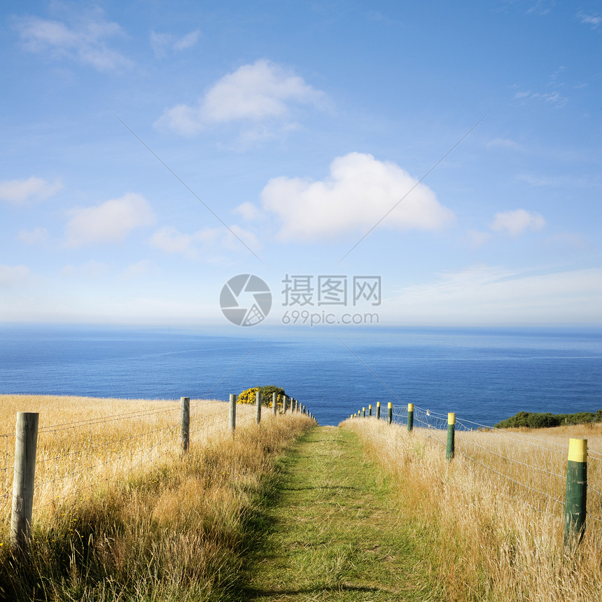 穿越康菲尔德广场的夏季海上通道图片