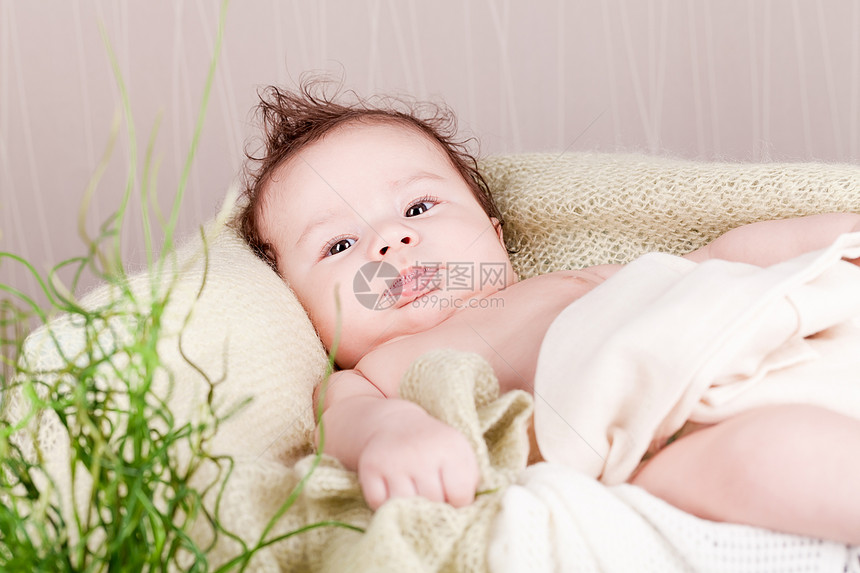 甜甜的婴儿小婴幼儿在篮子毯子上的毛毯上格子卫生童年羊毛健康微笑生活男生家庭新生图片