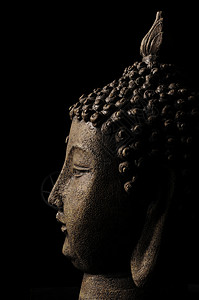 黑暗背景下被孤立的佛头竹子文化耳朵风水祝福宗教黑色佛像哲学家禅意背景图片
