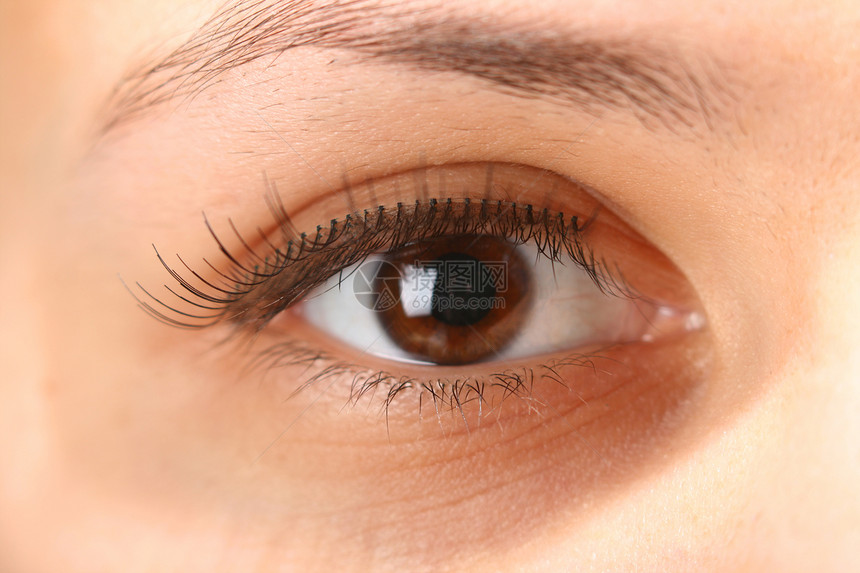 眼 目光学宏观眼皮检查美丽睫毛眼睛眼球眉毛图片