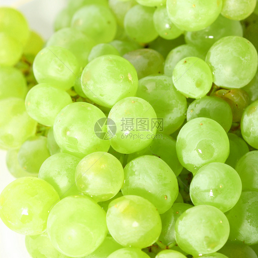 孤立葡萄绿色白色栽培葡萄生长生产杂货店收成水果藤蔓图片