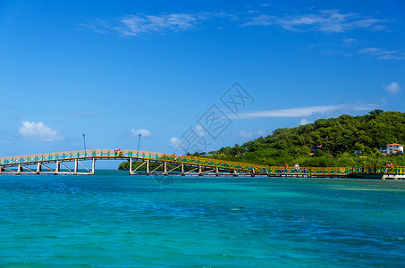 卡塔利娜岛色彩多彩的桥梁穿越红树橙子蓝色海洋绿色树木红树林通道背景