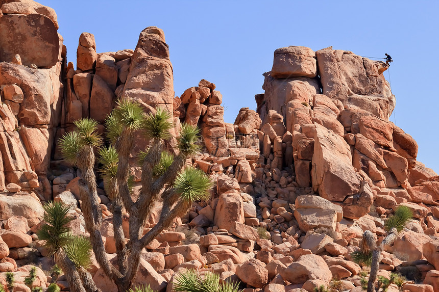 攀岩沙漠 Joshua树全国攀岩登山者远景崎岖国家植物植物群植物学风景岩石图片