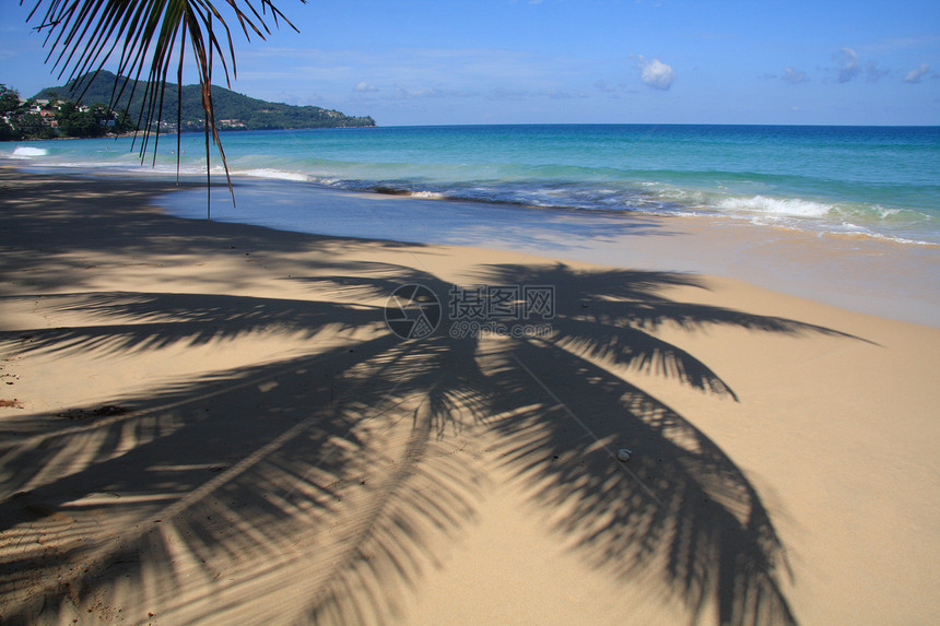 热带海滩棕榈树阴影图片