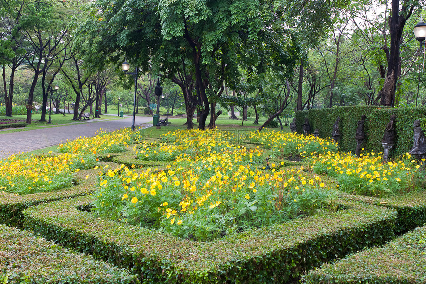 鲜花花植物团体场地植物群美丽花园花坛叶子橙子树叶图片