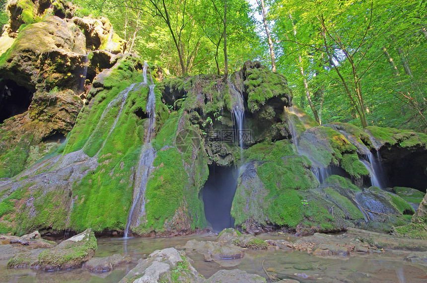 瀑布植物荒野绿色叶子水景流动岩石森林运动环境图片