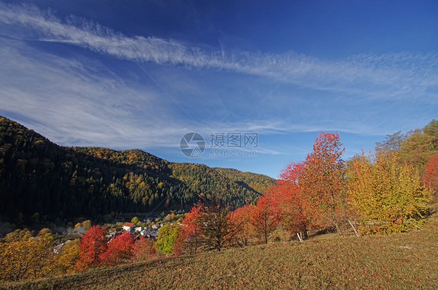 农村风景环境孤独森林叶子天气草地季节性黄色红色木头图片