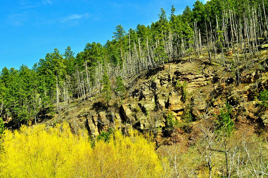 南达科他州12树木爬坡丘陵叶子天空山脉图片
