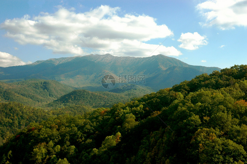 盖特林堡山数控树木季节树叶叶子山脉森林图片